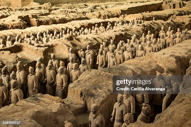 the terracotta warriors of xian - terrakotta armee stock-fotos und bilder