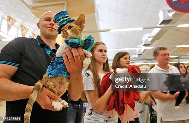 Cats in a costumes is seen during a costume contest organized within the Cat Show "Royal Feline" in Kiev, Ukraine May 28, 2016. The exhibition...