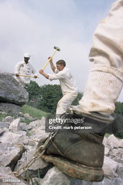 Prrisoner Breaking Rocks Inmates From The Limestone Correctional Facility On A Chain Gang. The ...