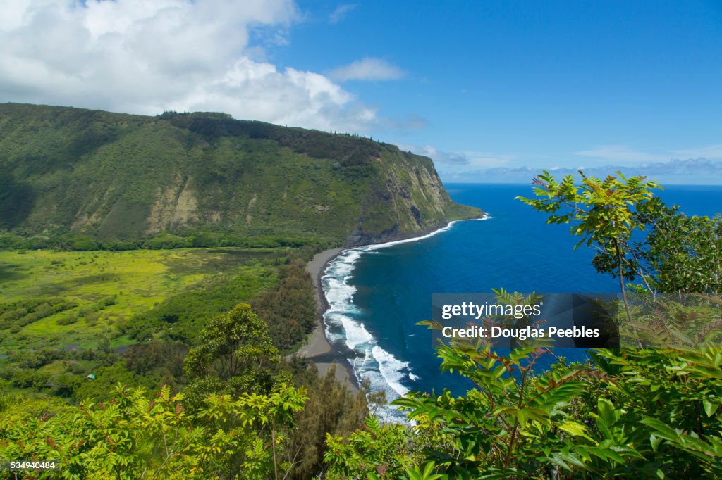 Waipio Valley, Hamakua Coast, Island of Hawaii