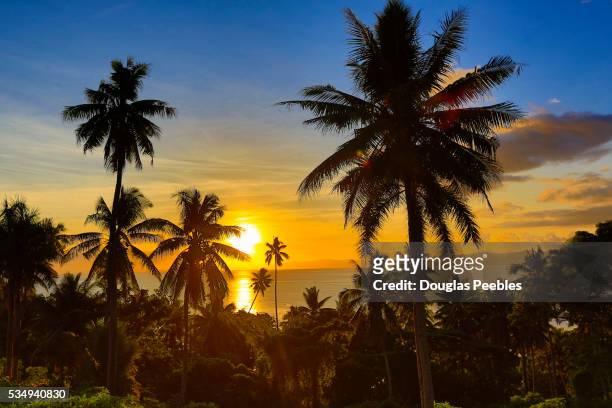 sunset in taveuni - vanua levu eiland stockfoto's en -beelden