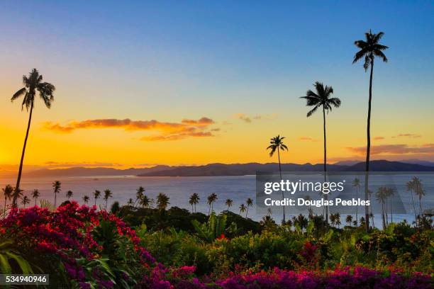 sunset in taveuni, fiji - vanua levu eiland stockfoto's en -beelden