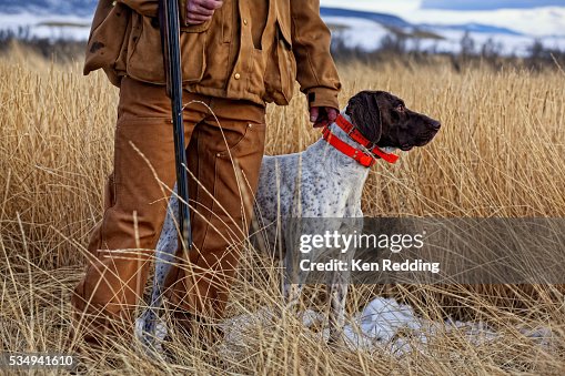 Bird Hunter with Dog