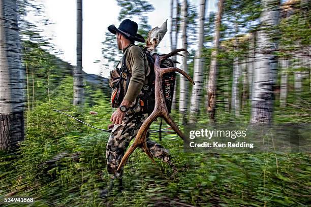 Elk Rack Together Rack Of Antlers Photos and Premium High Res Pictures - Getty Images