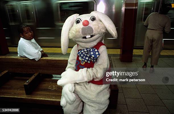 Rapid T Rabbit Photos and Premium High Res Pictures - Getty Images