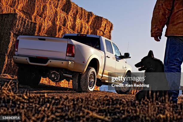 farm truck - pick up truck stock pictures, royalty-free photos & images