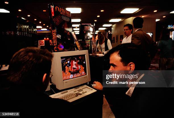 Computer users look at pornographic software at AdultDex, an adult entertainment convention that runs along with the Consumer Electronics Show in Las...
