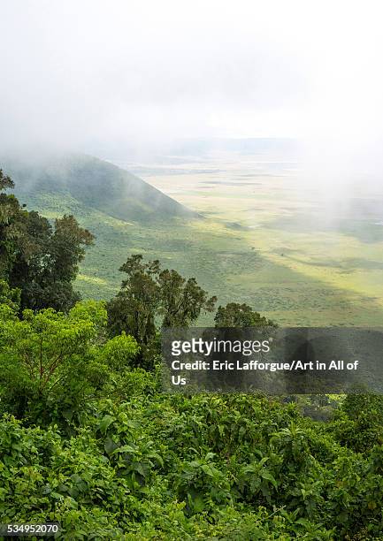 Tanzania, Arusha Region, Ngorongoro Conservation Area, the crater in the fog