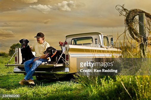 Man Sitting in Pickup Truck with Black Labradors