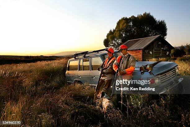 father and son pheasant hunting - animals hunting - fotografias e filmes do acervo