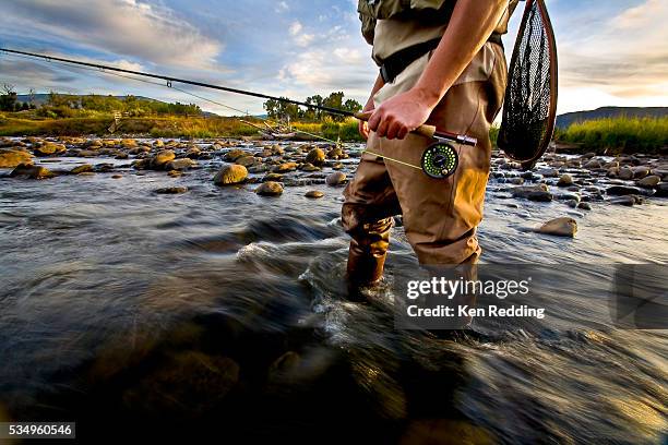 man fly fishing - fly fishing foto e immagini stock