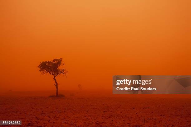 dust storm in the australian outback - bush stockfoto's en -beelden