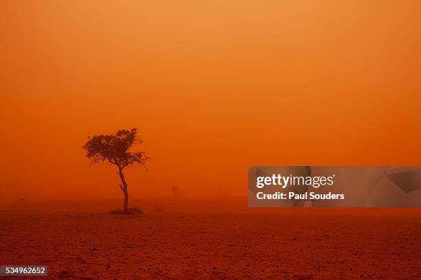 dust storm in the australian outback - dust storm australia stock pictures, royalty-free photos & images