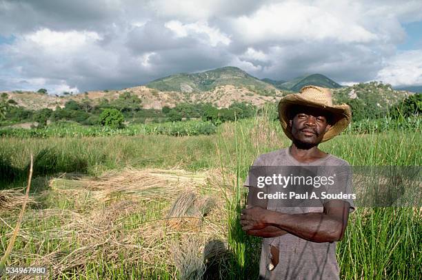 haitian farmer in field - haïti photos et images de collection