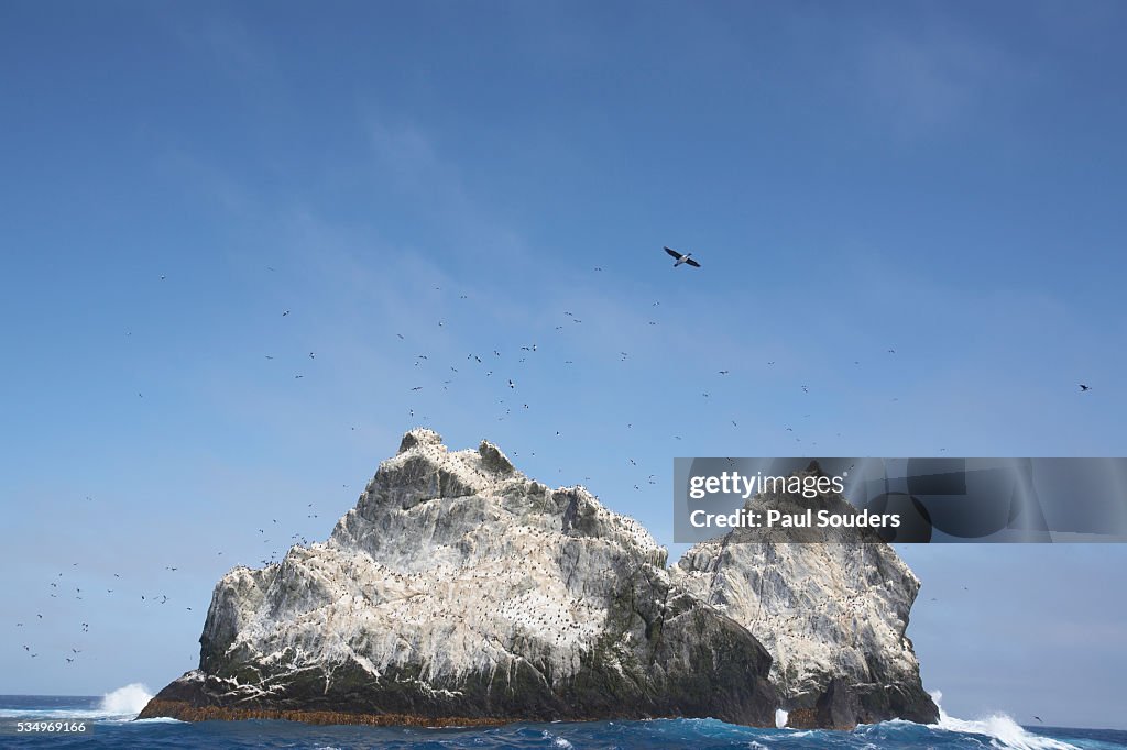 Shag Rocks Shag Rocks South Georgia Island High-Res Stock Photo - Getty Images