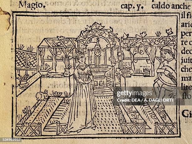 Lady and musician in a garden, engraving from De agricultura vulgare by Pietro de Crescenzi . Italy, 15th century. Venice, Biblioteca Nazionale...