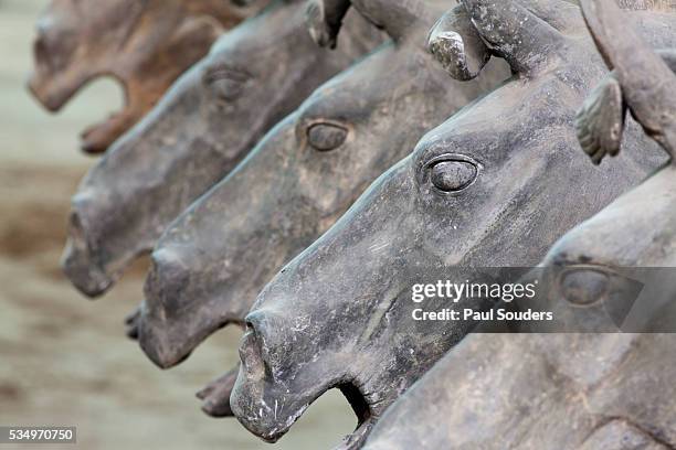 terracotta horses at qin shi huangdi tomb - qin shi huangdi fotografías e imágenes de stock