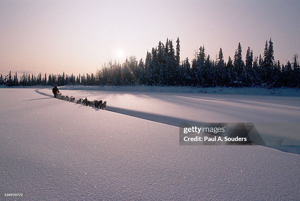 Sledder Racing in Yukon Quest