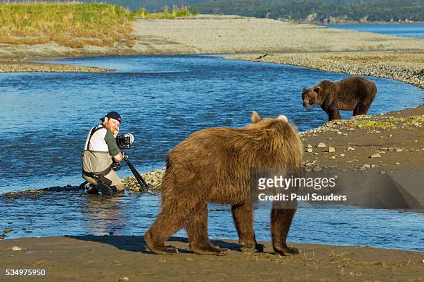 9,322 Man Bear Stock Photos, High-Res Pictures, and Images - Getty Images
