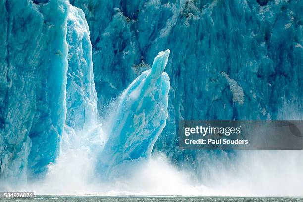 icebergs calving from glacier, alaska - holkham bay alaska stock pictures, royalty-free photos & images