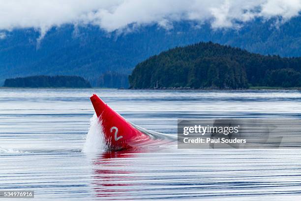 submerged buoy in ripping tide, alaska - holkham bay alaska stock pictures, royalty-free photos & images