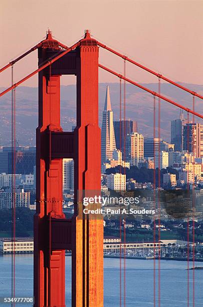 Brontuss Sf 31,464 San Francisco 1990s Stock Photos, High-Res Pictures, and Images ...
