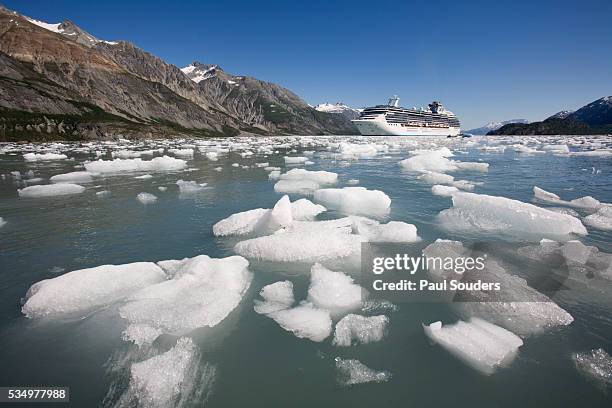 cruise ship and icebergs in glacier bay national park - imbarcazione per passeggeri foto e immagini stock