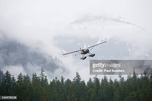 floatplane above rainforest in misty fjords national monument - nationalmonument bildbanksfoton och bilder