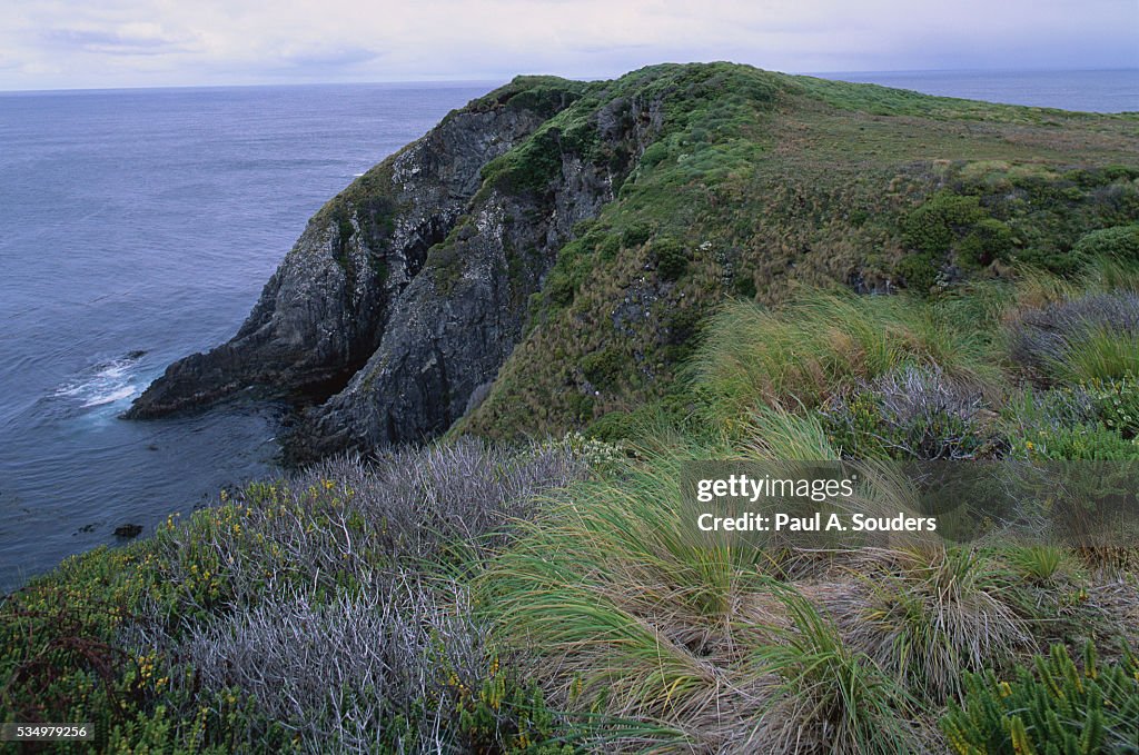 Coastline Along Cape Horn