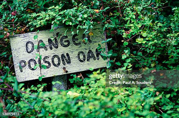 poison oak warning sign - toxicodendron diversilobum stock pictures, royalty-free photos & images
