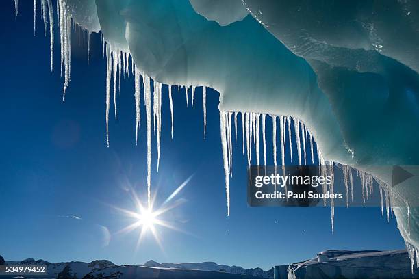 iceberg in lemaire channel, antarctica - icicle 個照片及圖片檔