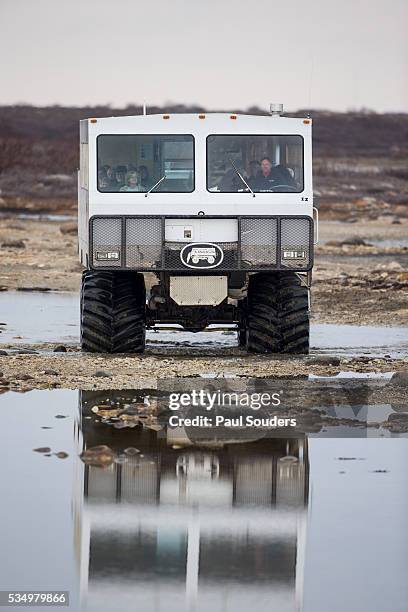 polar bear tour, churchill, manitoba, canada - tundra buggy stock pictures, royalty-free photos & images