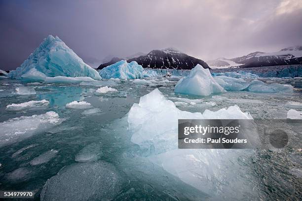 icebergs floating near face of sveabreen glacier in nordfjorden - olden foto e immagini stock