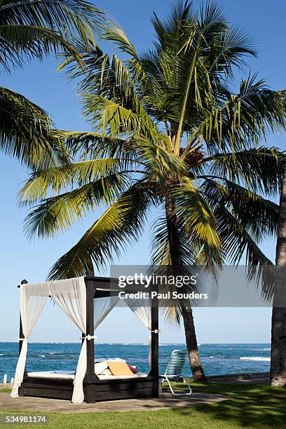 velero beach resort in dominican republic - cabarete dominican republic stock pictures, royalty-free photos & images