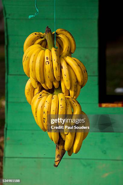 bananas at a fruit stand in dominican republic - banana stock pictures, royalty-free photos & images