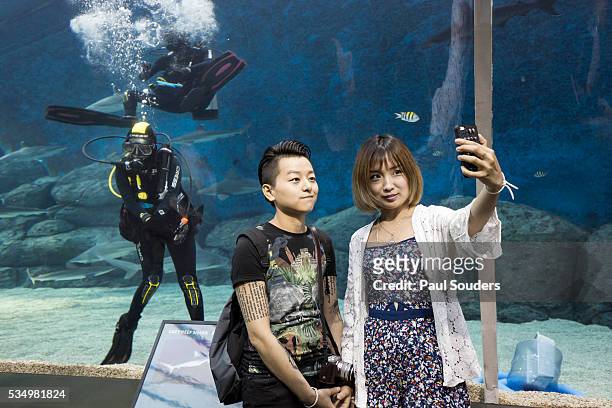 tourists and scuba diver at s.e.a. aquarium, singapore - underwater world singapore on sentosa stock pictures, royalty-free photos & images
