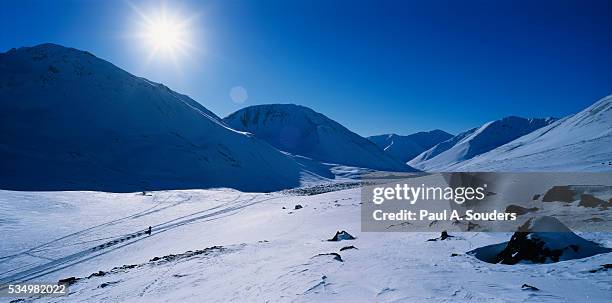 iditarod sled dog racer in rainy pass - iditarod stock-fotos und bilder