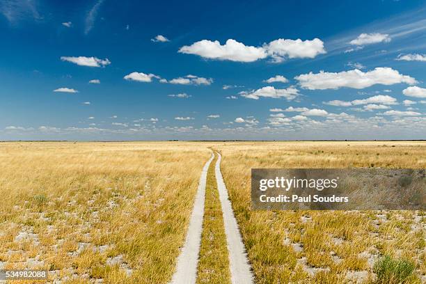 kalahari desert track, magadikgadi pans national park, botswana - safari park stock-fotos und bilder