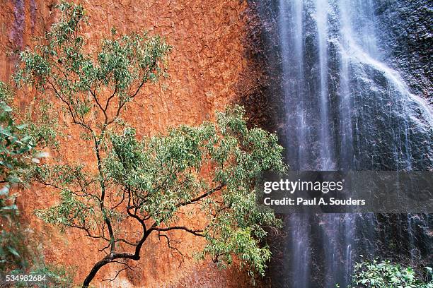 339 Waterfall 1990 Stock Photos, High-Res Pictures, and Images