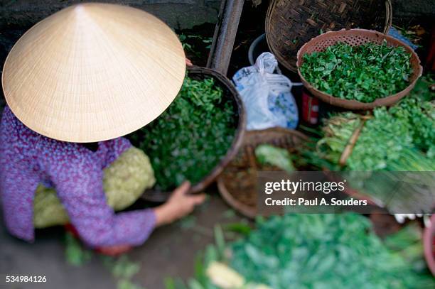 street vendor selling produce - vietnam market stock pictures, royalty-free photos & images