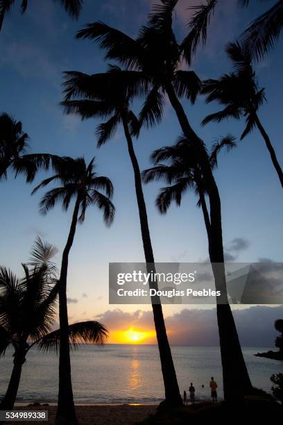 sunset, napili bay, maui, hawaii - napili stock pictures, royalty-free photos & images