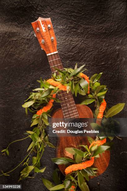 ukulele and lei - ukulele stock-fotos und bilder