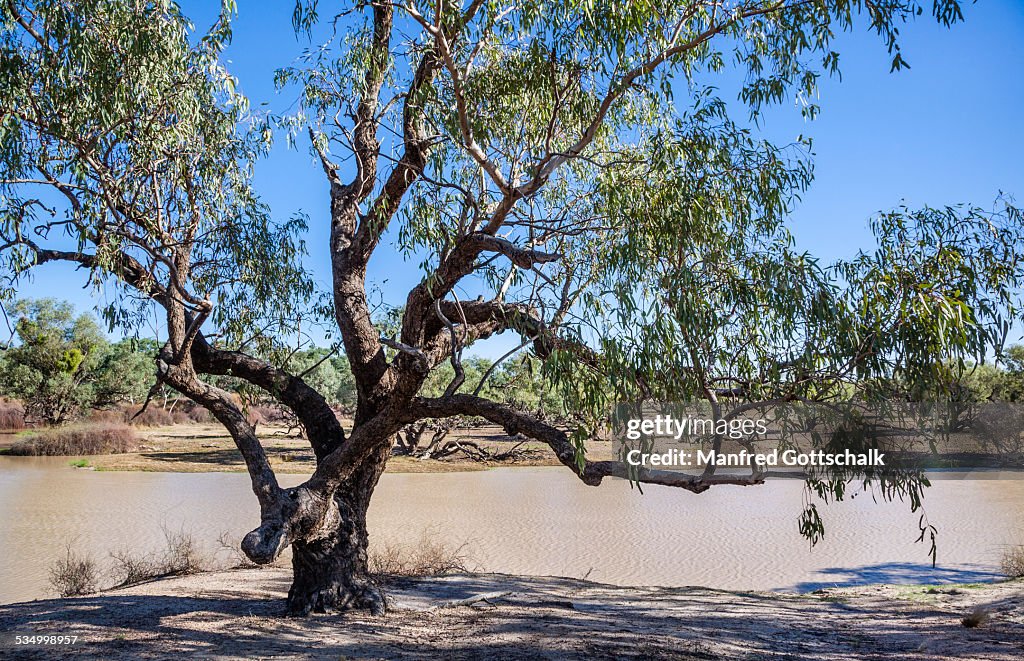 Cooper Creek SW Queensland