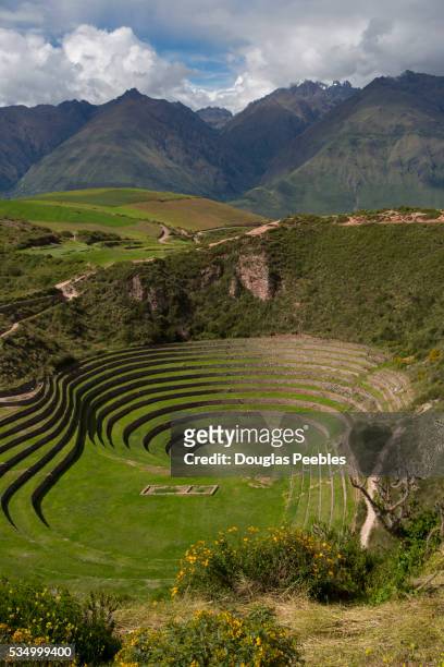 circular inca terraces of moray, cusco region, urubamba province, machupicchu district, peru - moray inca ruin stock pictures, royalty-free photos & images