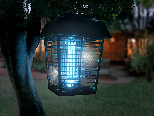 bug-zapper.jpg?s=612x612&w=0&k=20&c=FMmMxCHRVw7cUHNVh61DKQPt662GCvAVG5s9oEQ60HY=