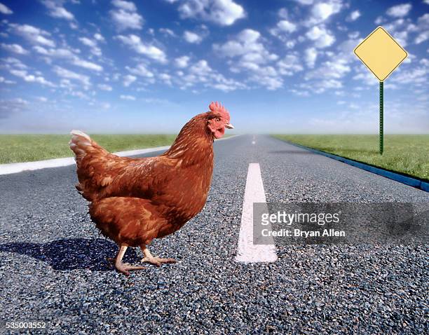 rooster crossing road - animal crossing sign photos et images de collection