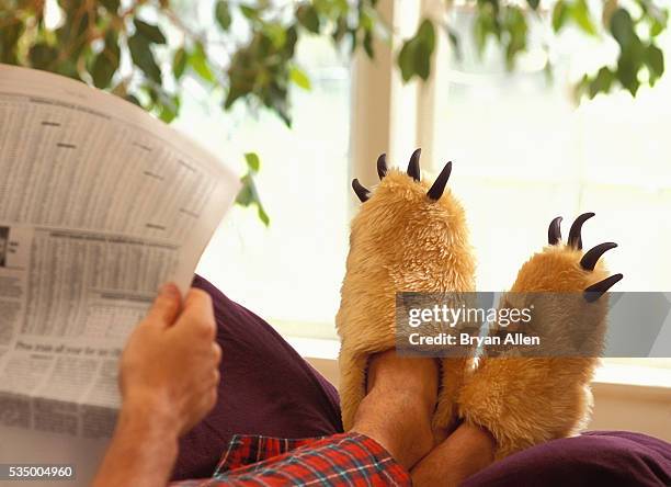 reading the paper in bear claw slippers - funny slipper stock pictures, royalty-free photos & images