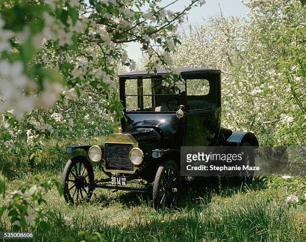 ford model t in a blossoming cherry orchard - model t ford stockfoto's en -beelden