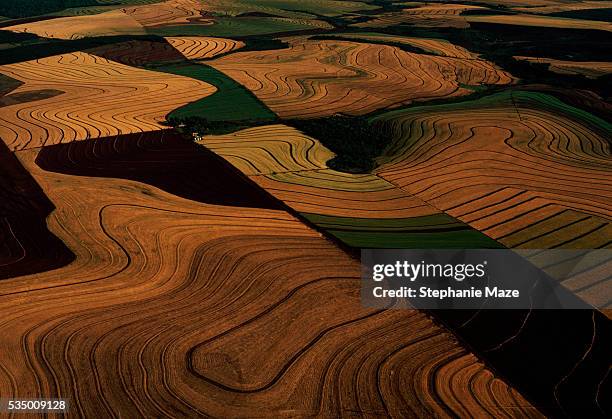 aerial view of wheat fields - archive farms stock-fotos und bilder