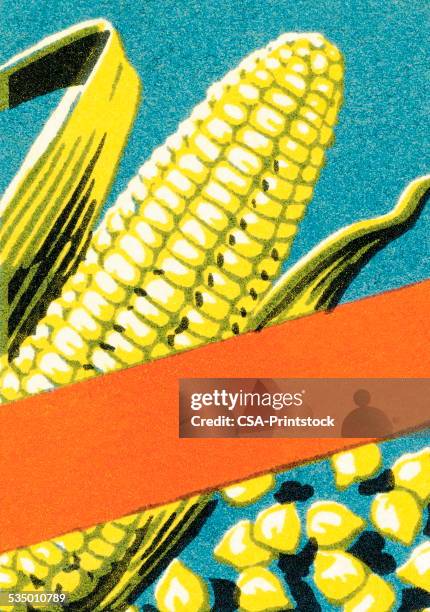 corn - corn stock illustrations